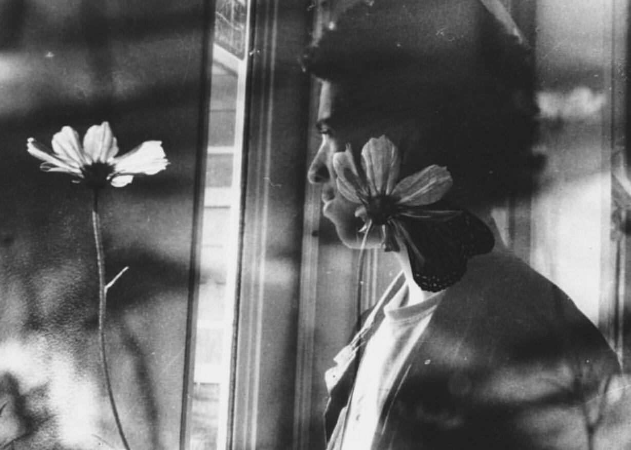 Float Like a Butterfly, Sting Like a Bee - New York